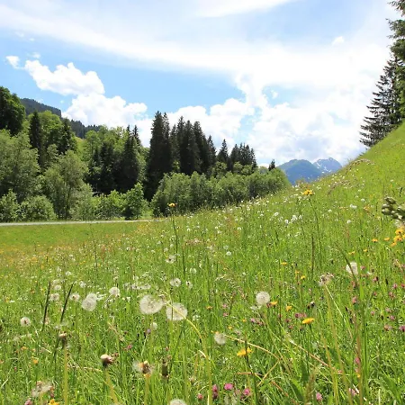Picturesque Holiday With Terrace In Kirchberg Сasa de vacaciones Kirchberg in Tirol